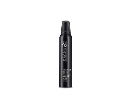 3202 Black Color Mousse SILVER 200ml
