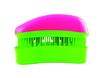 32112 Dessata Fuchsia Lime Mini