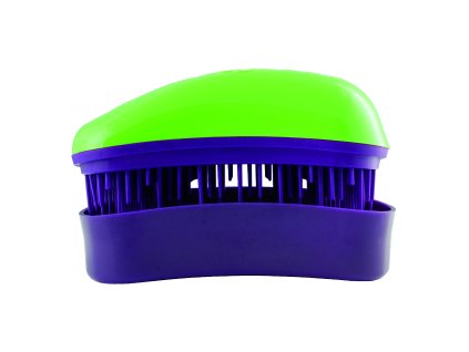 32111 Dessata Green Purple Mini