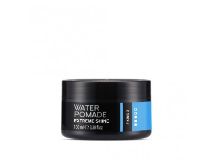 12382 dandy water pomade extreme shine