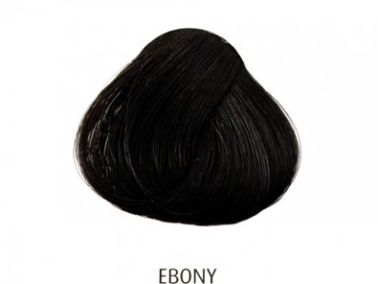 15505 ebony 88 ml barva na vlasy