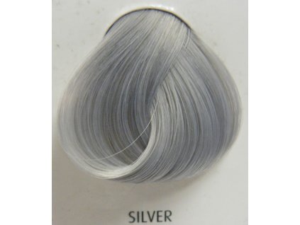 15556 silver 88 ml barva na vlasy