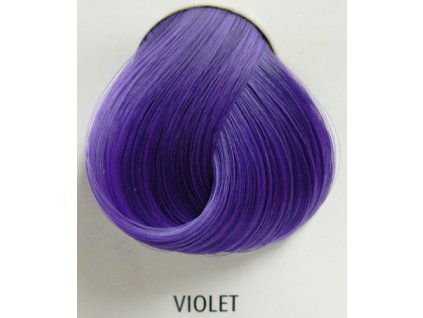 15574 violet 88 ml barva na vlasy