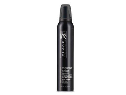 1337 1 barevna pena bez oplachovani black mousse color 200 ml tmave henda