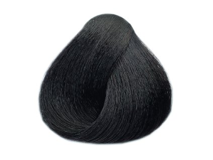 131 barva na vlasy black professional 100 ml odstin 2 0 tmave hneda