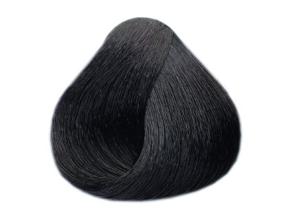 4589 barva na vlasy black professional 100 ml odstin 7 22 slez