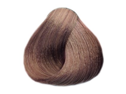 176 barva na vlasy black professional 100 ml odstin 8 06 teply svetly blond