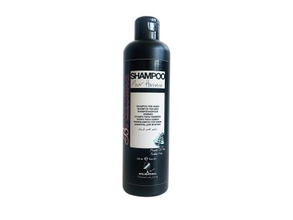 82 Brizzolina Shampoo Pour Homme 250ml