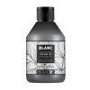 4253 objemovy sampon s extraktem z bambusu black premium blanc volume shampoo 300 ml