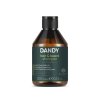 101840 Dandy hair&BeardShampoo