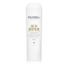 15817 goldwell dualsenses rich repair restoring conditioner 200 ml