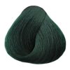 14782 black glam colors 100 ml zeleny brectan barva na vlasy