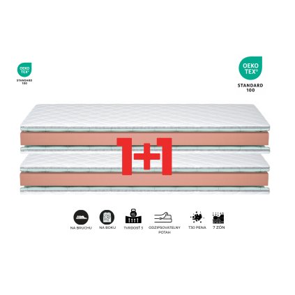 ECONO COMFORT 18 AKCIA 1+1