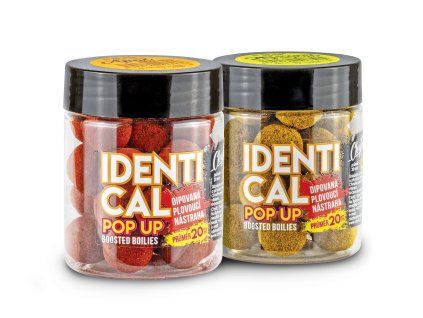 Identical 20 mm 2024 01 web