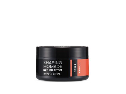 1399 DANDY Shaping Pomade Natural Efect Fixing 2
