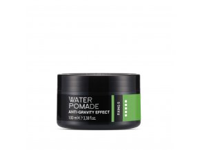 DANDY Water Pomade Anti-Gravity Effect