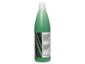 Parisienne Moisturizing Shampoo Vegetable 1000ml - šampon na vlasy