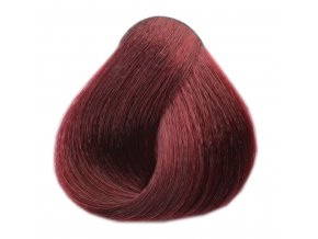Black Purple Light Brown 5.6 purpurově světle hnědá, barva na vlasy