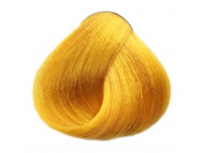 Black Ultra Golden F333 výrazně zlatá, barva na vlasy