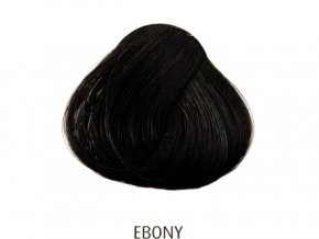 Ebony 88 ml - barva na vlasy