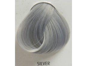 Silver 88 ml - barva na vlasy