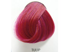 Tulip  88 ml - barva na vlasy
