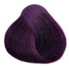 Barva na vlasy Lovin Color 100 ml - odstín 5.2 fialová