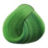 Black Glam Colors 100 ml - zelené mojito, barva na vlasy