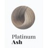 Black tónovací barva T1 - Platinum Ash