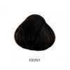 Ebony 88 ml - barva na vlasy