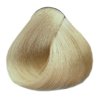Barva na vlasy Black Professional 100 ml - odstín 2000 super blond