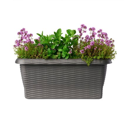 PAGLIA 50 cm, antracit  BAMA