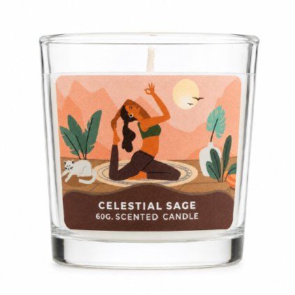 Moonshine Yoga Celestial Sage  Song of India