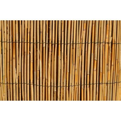 Rohož plotová rákos 130x500 cm  Axin Trading s.r.o.