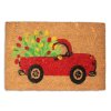 HOME ELEMENTS Rohož z kokosových vláken, Auto, 40x60 cm  Home Elements