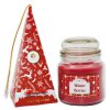 HOME ELEMENTS Vánoční vonný set Winter Berries 1:Vonná svíčka a čaj  Home Elements