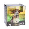 Home Elements Solární dekorace Pes se svítidlem  Koop