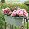RONDINE PAGLIA 60 cm, antracit  BAMA