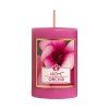 8595717314455 orchid 2