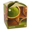 Matcha  ARÔME