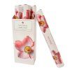 8595556468463 b