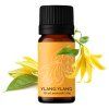 8595717315834 Ylang Ylang 2