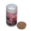 Moonshine Yoga Celestial Sage  Song of India
