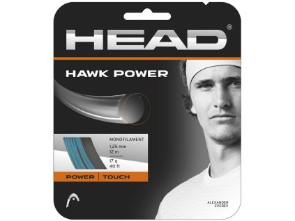 Hawk Power1