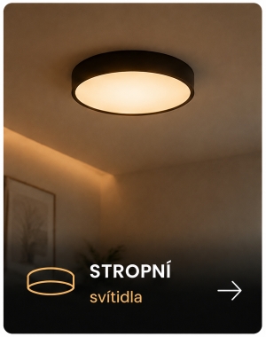 Stropní svítidla