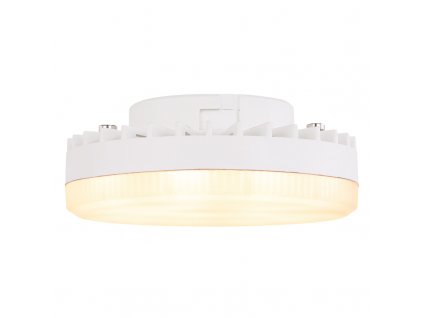 led bulb 10160 g24544