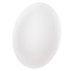 FIONI ZM1122 EMOS stropní  | LED | 24W | IP44 | Š: 39 cm |