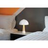 paulin 51570122 g30115 (1)