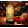 ROSALINA 28108-9 GLOBO dekorativní  | LED | 036W | černá/zlatá | D: 11 cm |