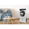 Mr.Fan 14